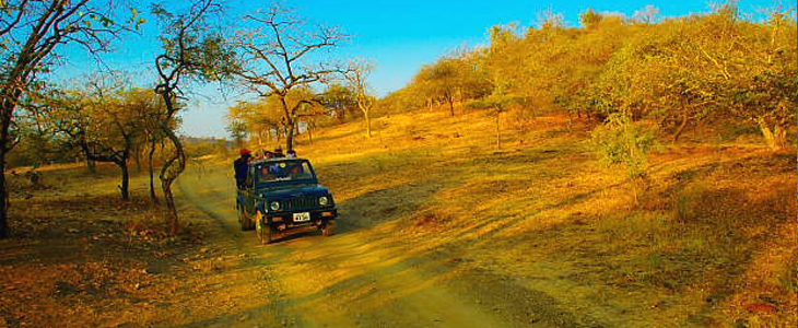 jeep safari sasan gir